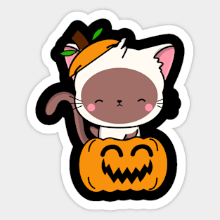 Funny white cat is in a pumpkin Sticker